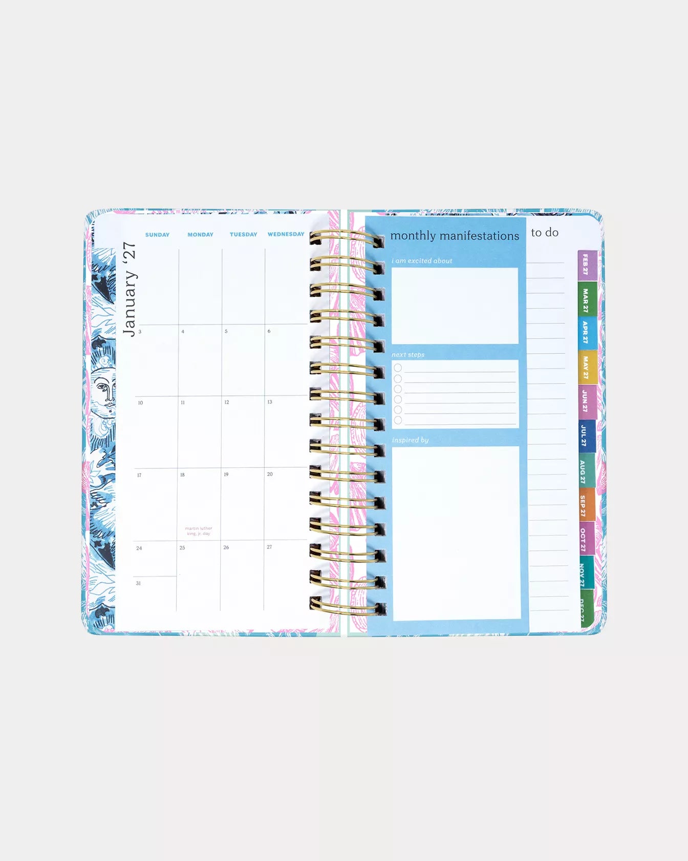 Medium 17 Month Agenda, Shelden