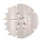 Sand Dollar - Large - Flat Shape Hair Clip