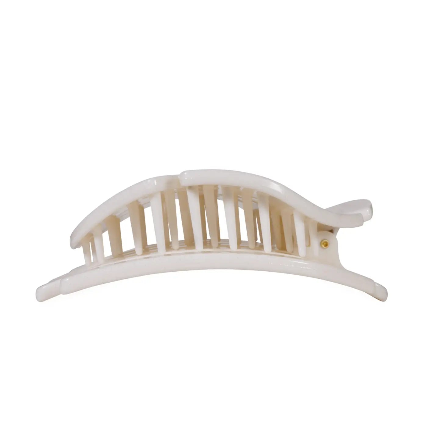 Sand Dollar - Large - Flat Shape Hair Clip