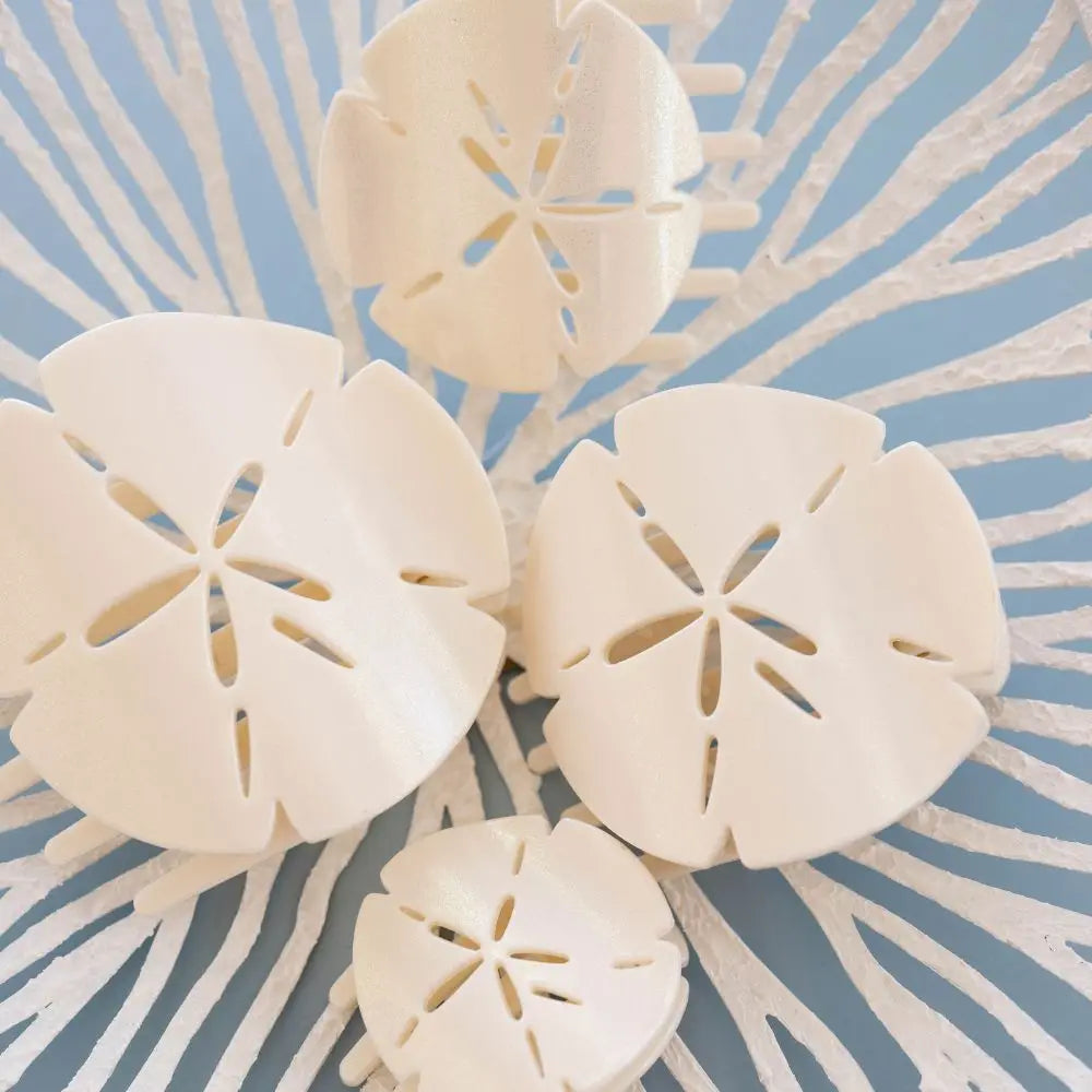 Sand Dollar - Large - Flat Shape Hair Clip