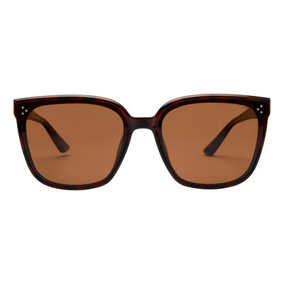 I-Sea Madi / Tort / Brown Polarized Lens