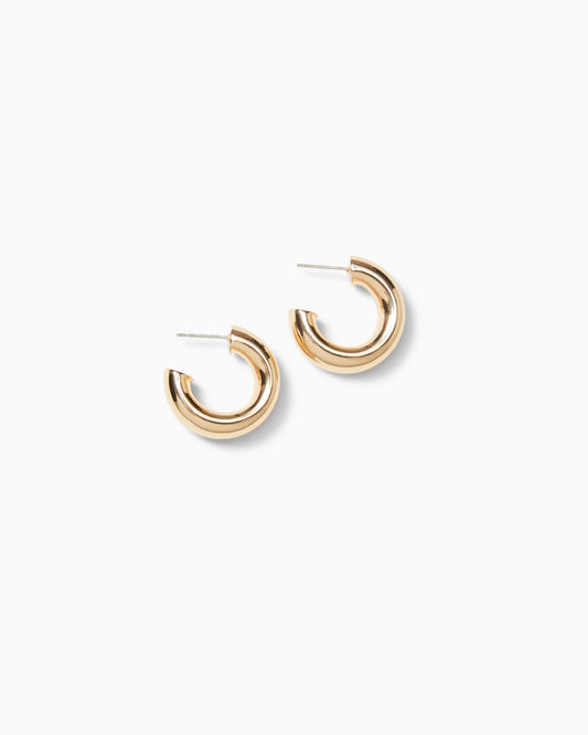 Citrus Kiss Hoop Earrings