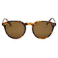 I-Sea Watty / Tort Acetate / Brown Polarized