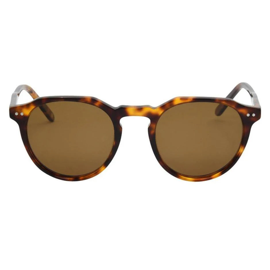 I-Sea Watty / Tort Acetate / Brown Polarized