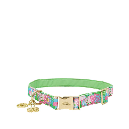 Dog Collar | Crazy Quilt Home (S/M)