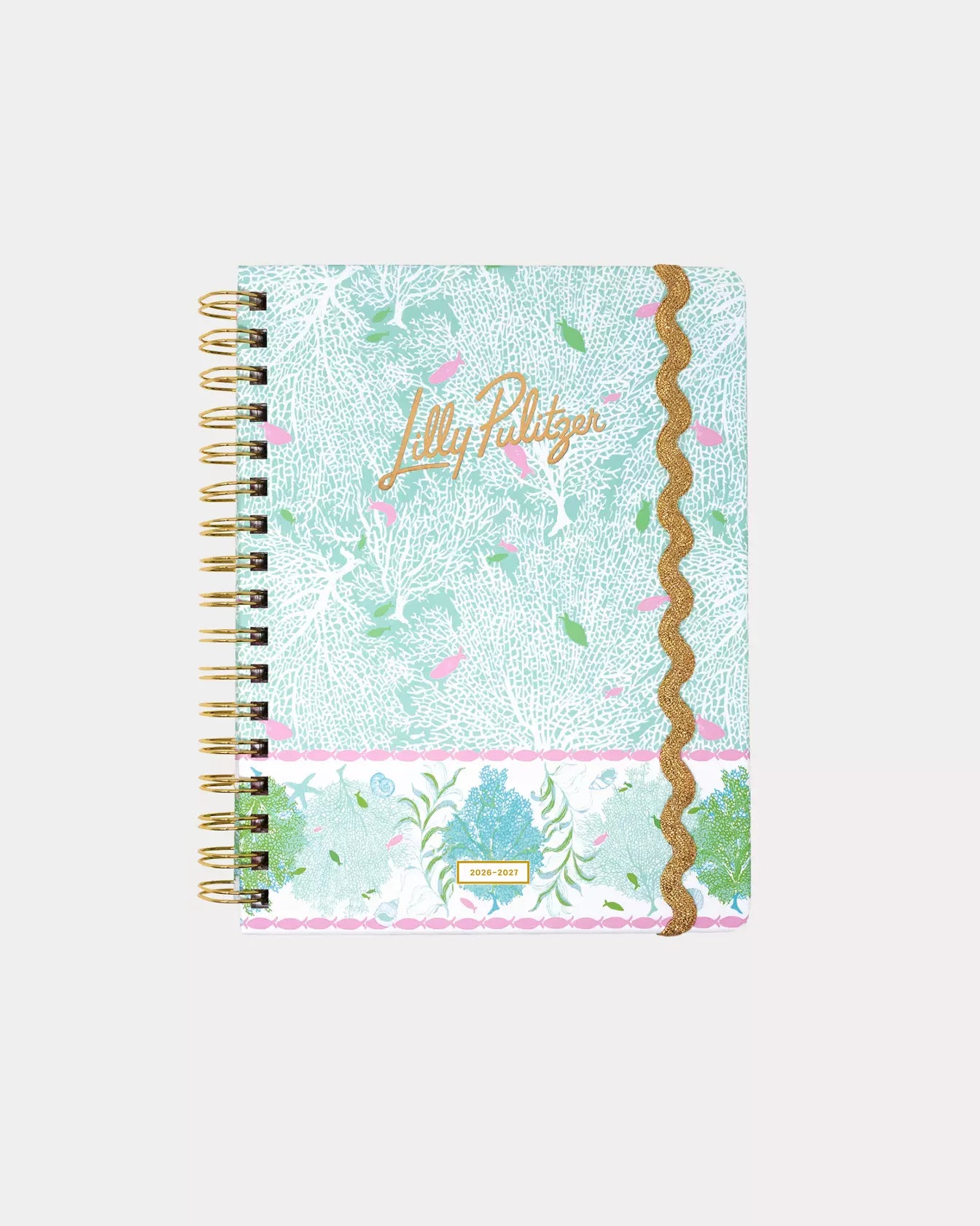 Large 17 Month Agenda, Fantastical for Home