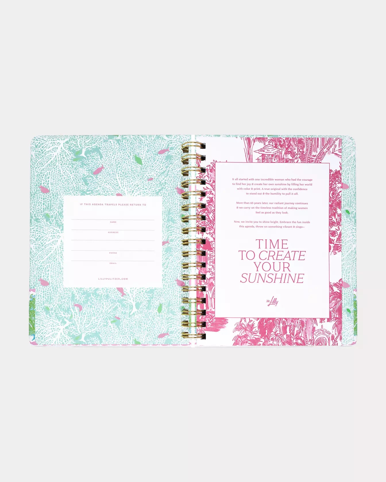 Large 17 Month Agenda, Mint Condition Burst of Joy