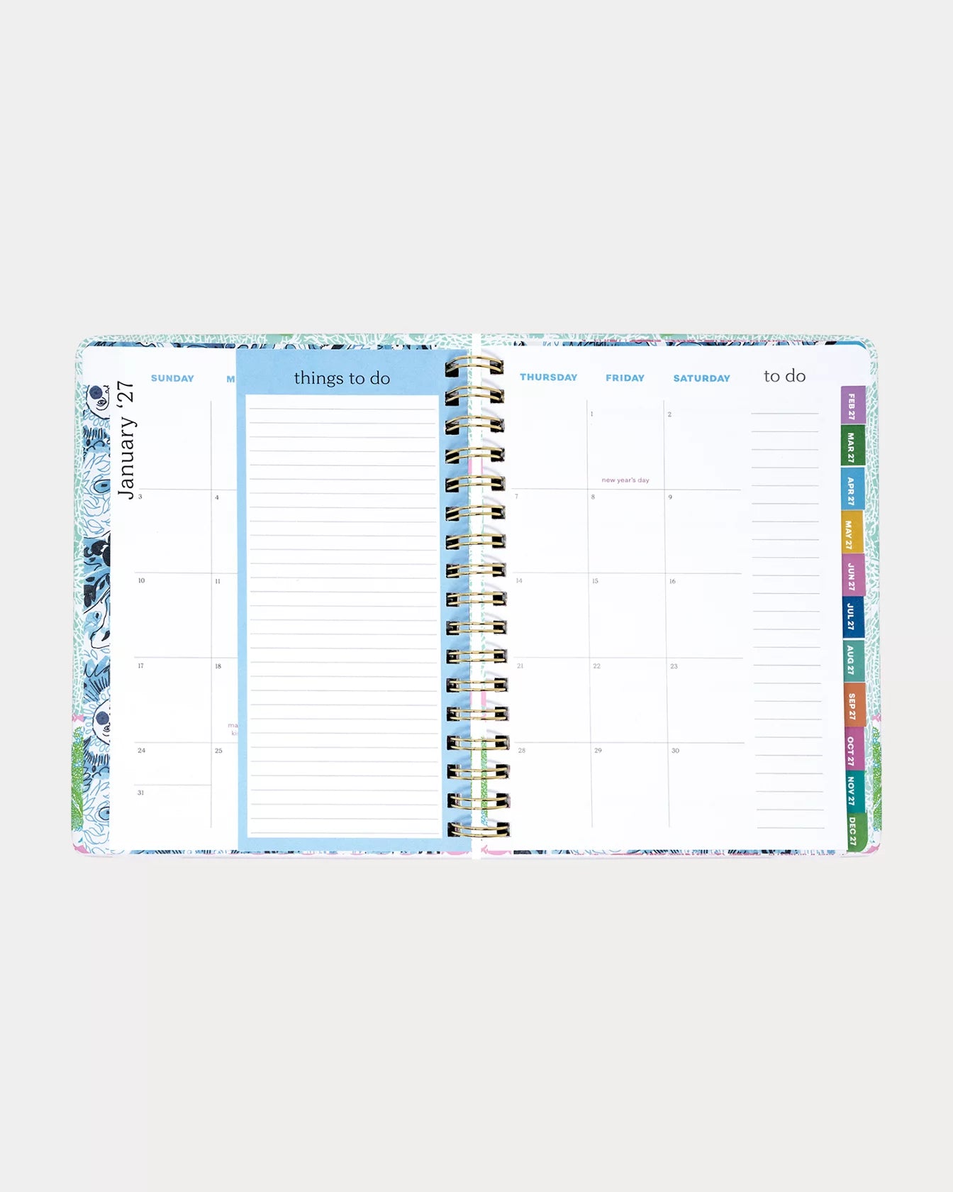 Large 17 Month Agenda, Conch Shell Pink Burst of Joy