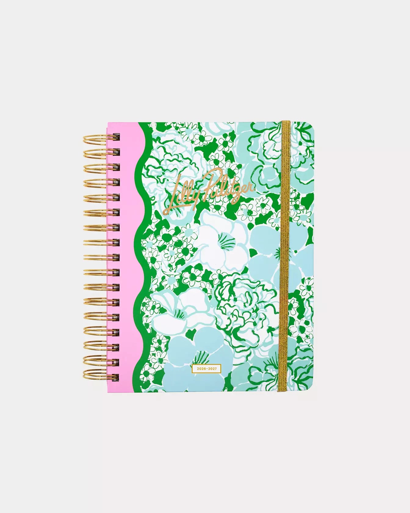 Large 17 Month Agenda, Mint Condition Burst of Joy