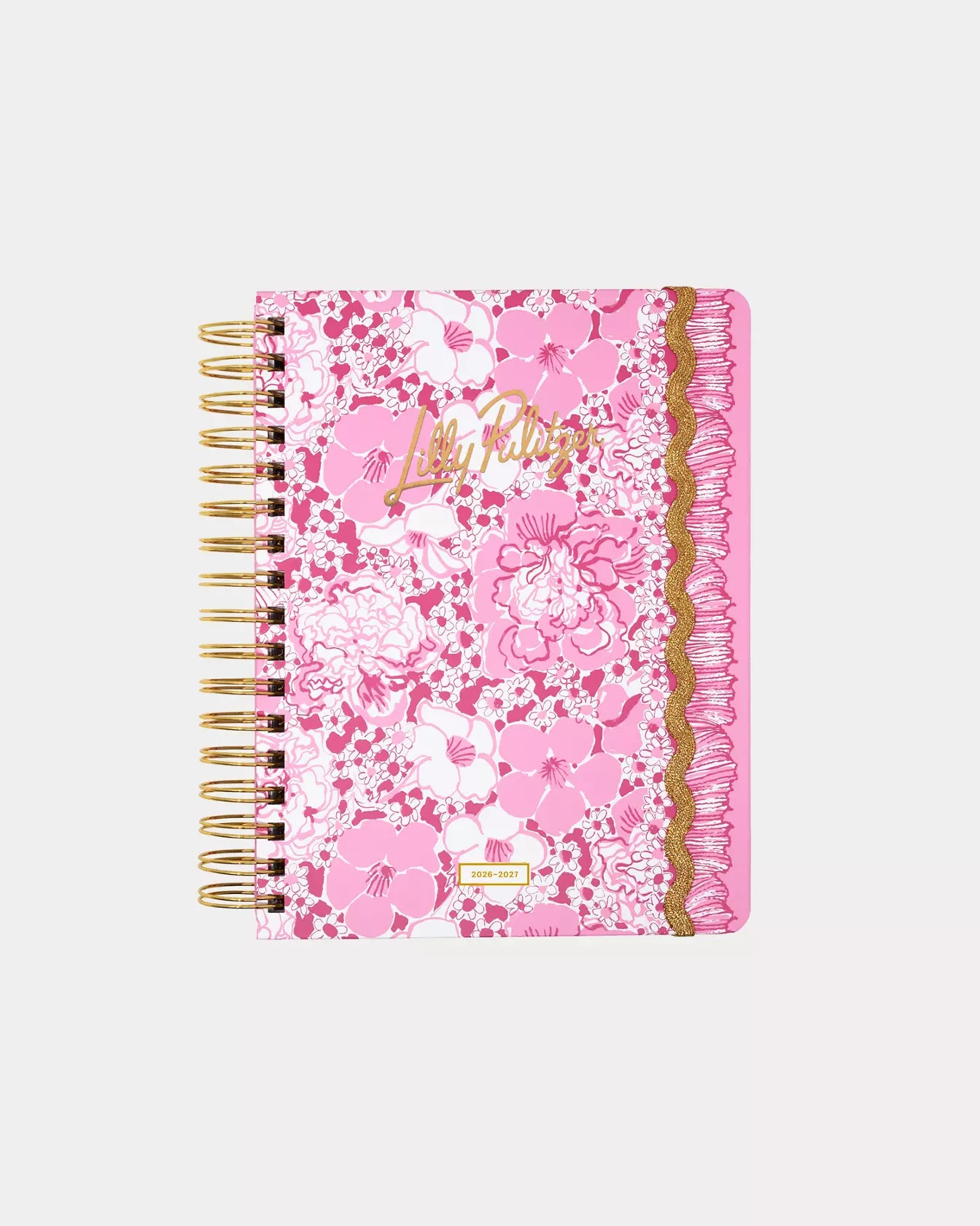 Large 17 Month Agenda, Conch Shell Pink Burst of Joy