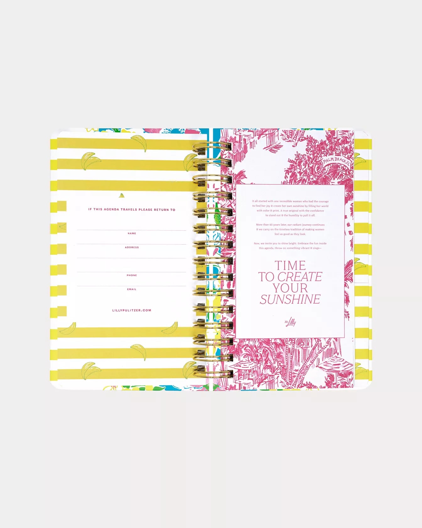 Medium 17 Month Agenda, Lovely Lilly