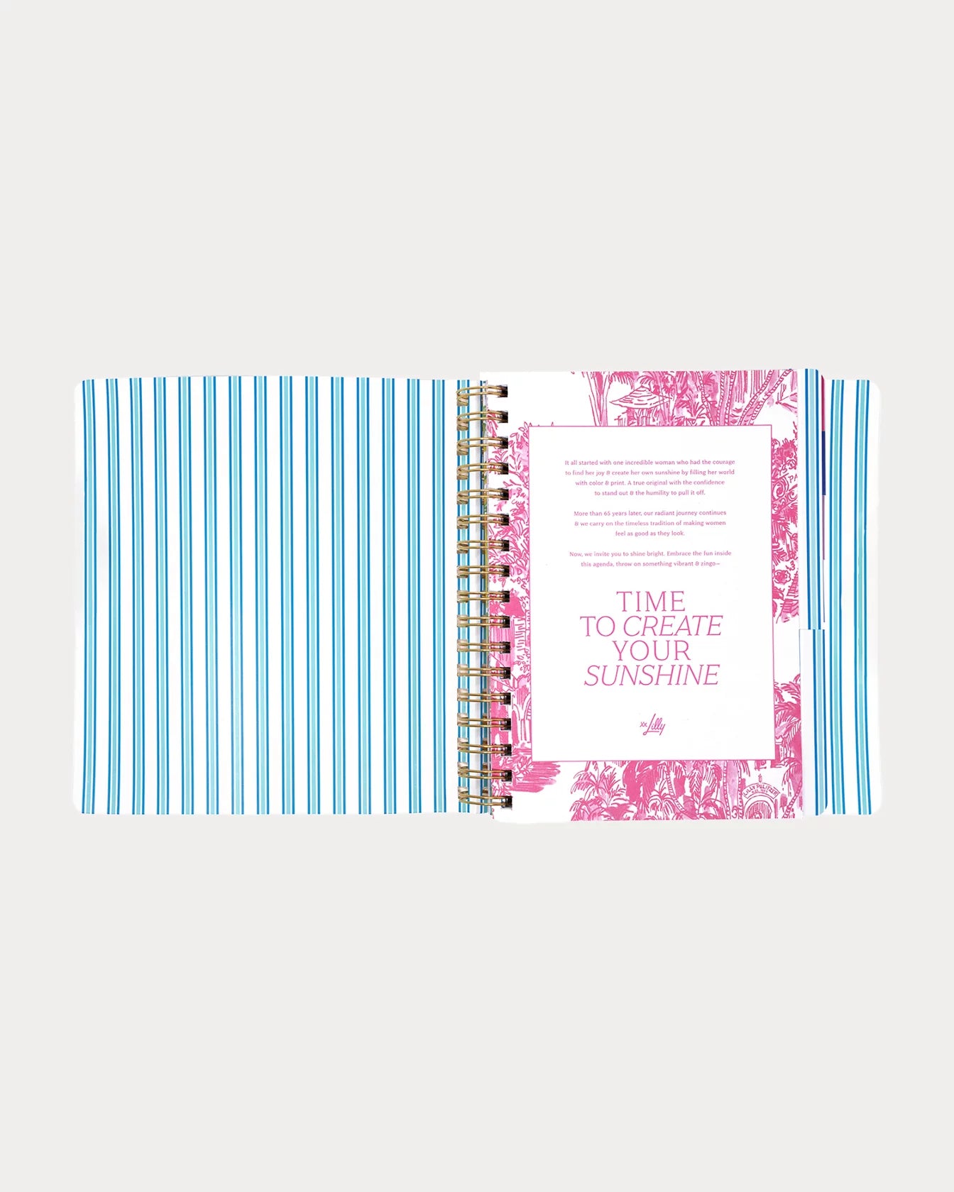 17 Month Soft Cover Planner, Shell Shine