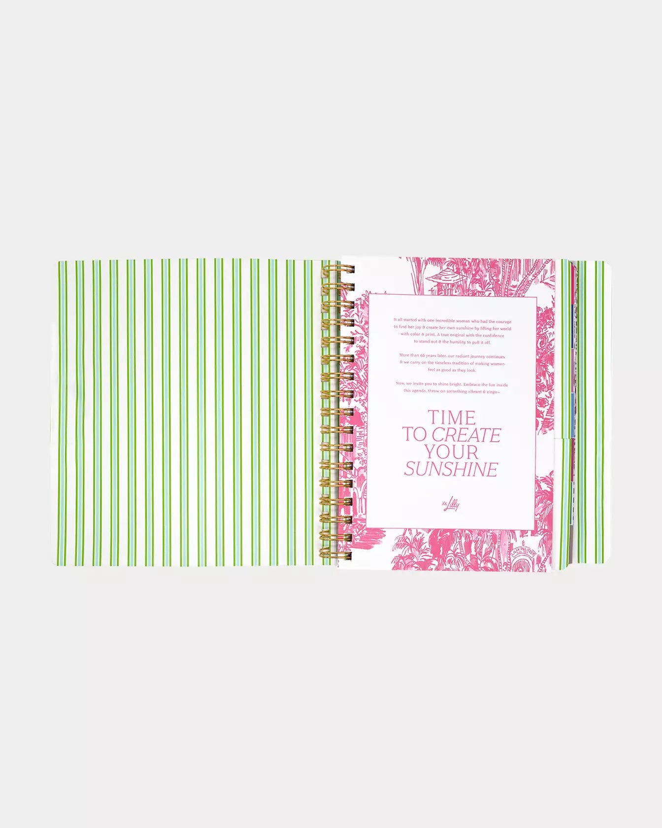 17 Month Soft Cover Planner, Mint Condition Burst