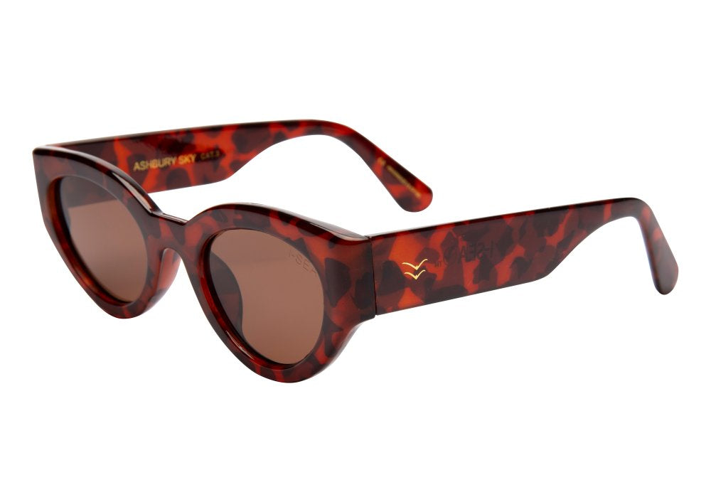 I-Sea Ashbury Sky | Havana Tort | Brown Polarized Lens