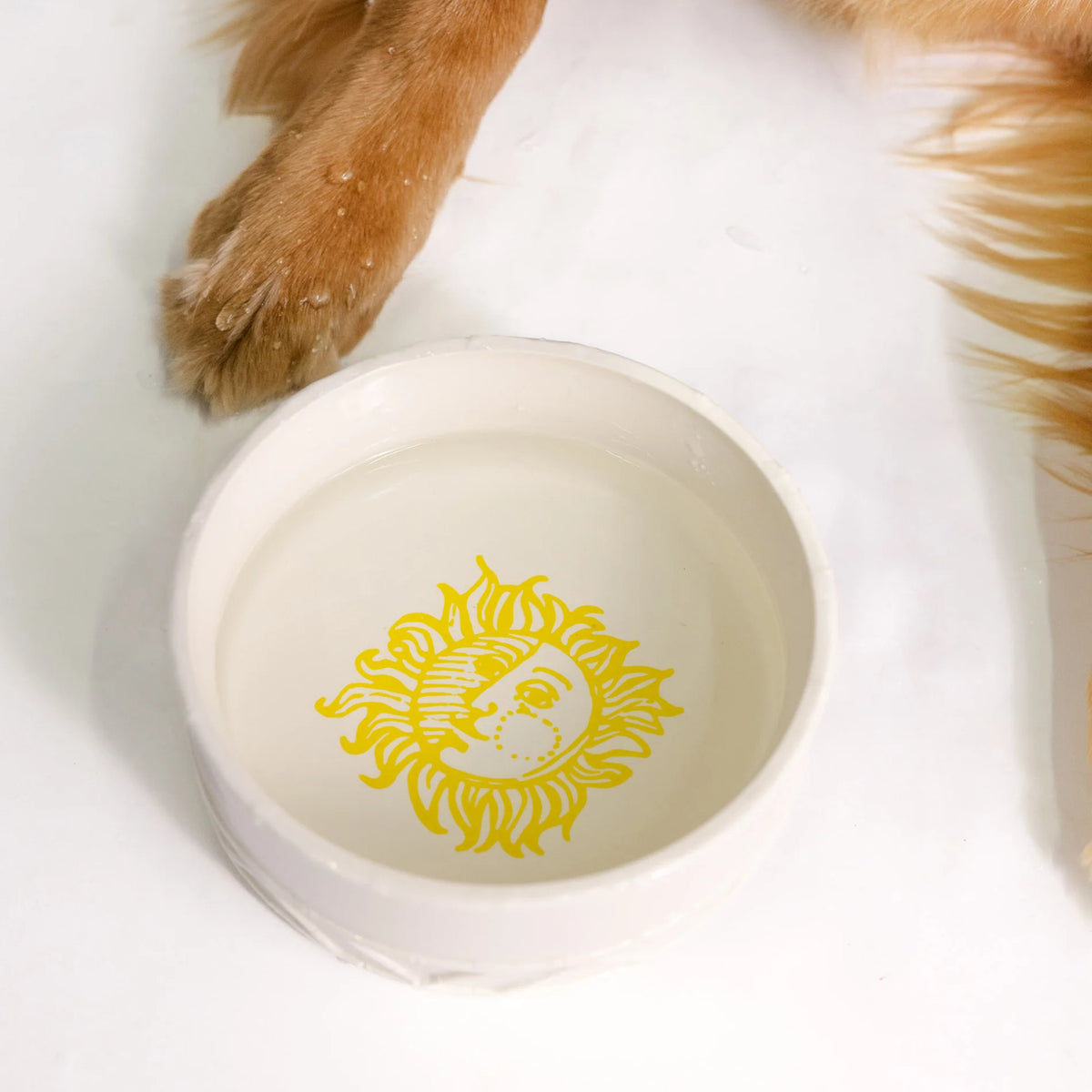 Pet Bowl | Sun Tiles Home