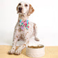 Pet Bowl | Sun Tiles Home