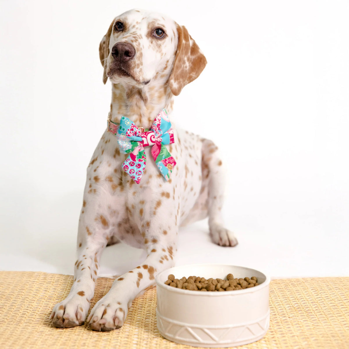 Pet Bowl | Sun Tiles Home