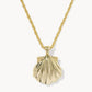 Kendra Scott Lucia Shell Gold Short Pendant Necklacee / Abalone Shell,